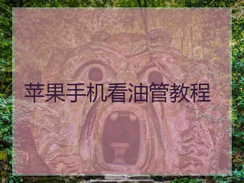 苹果手机看油管教程