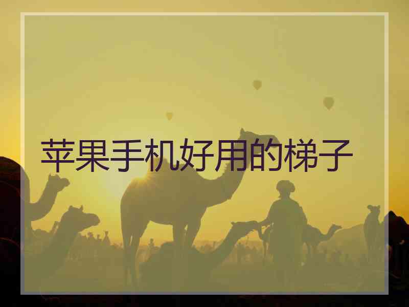 苹果手机好用的梯子