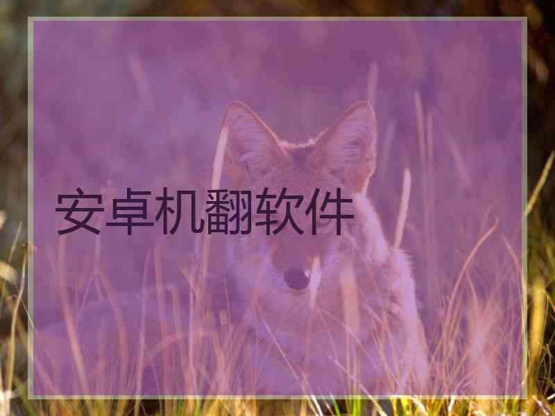 安卓机翻软件