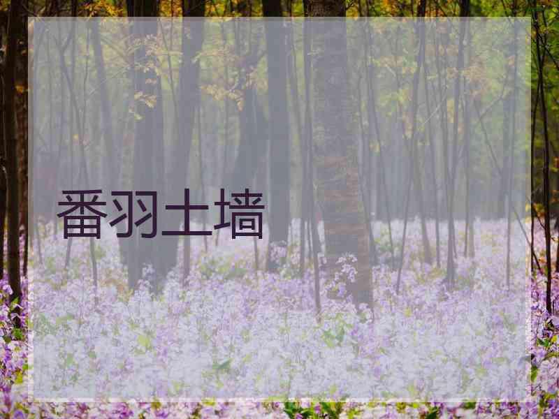 番羽土墙