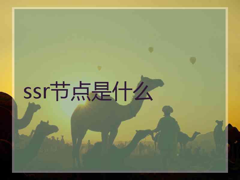 ssr节点是什么