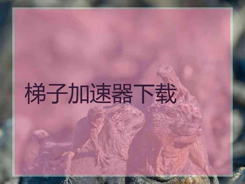 梯子加速器下载