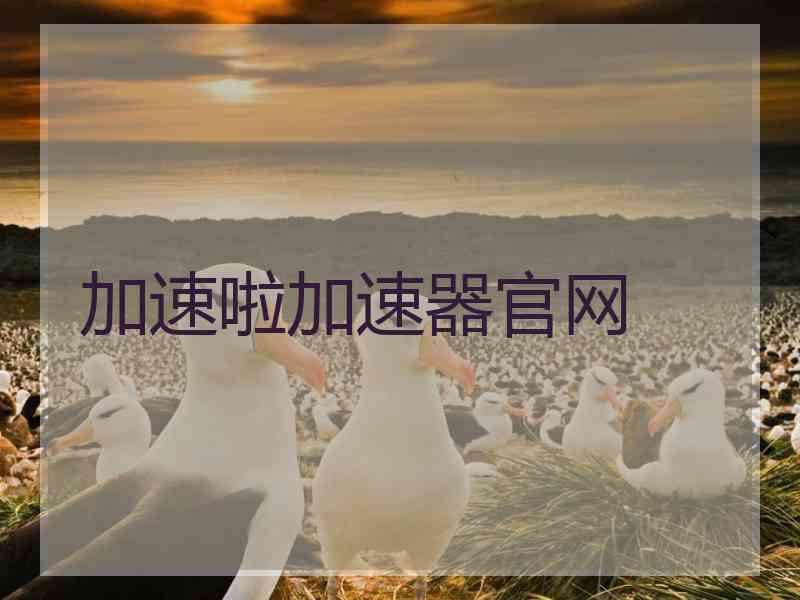 加速啦加速器官网