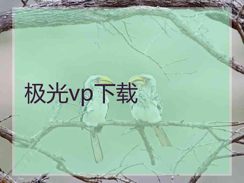 极光vp下载
