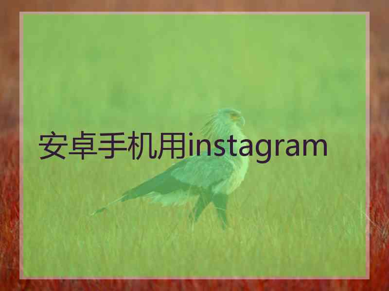 安卓手机用instagram