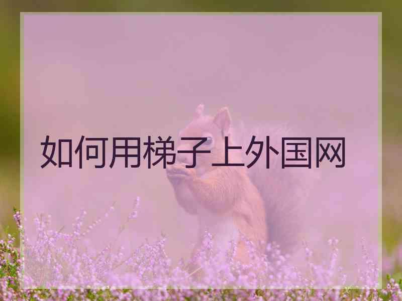 如何用梯子上外国网