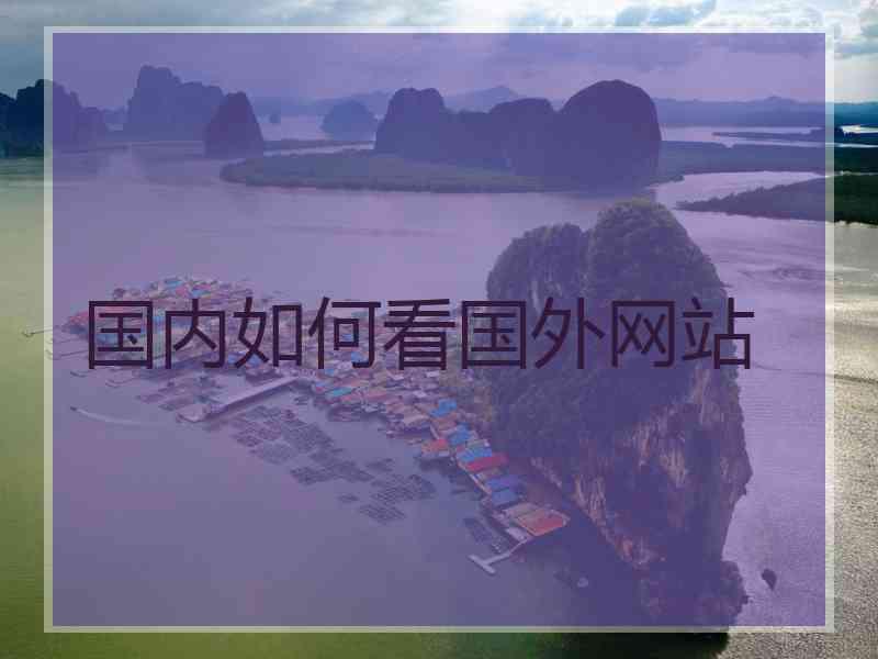 国内如何看国外网站