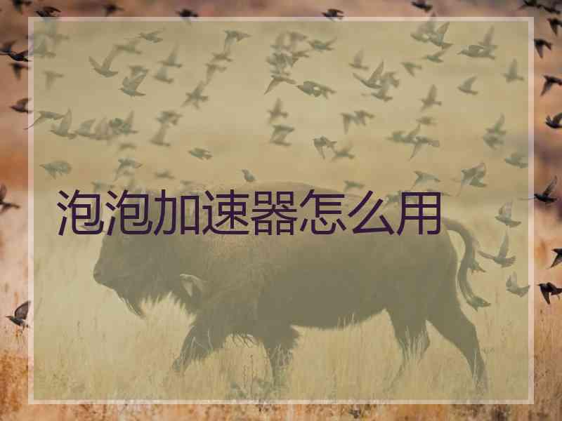 泡泡加速器怎么用