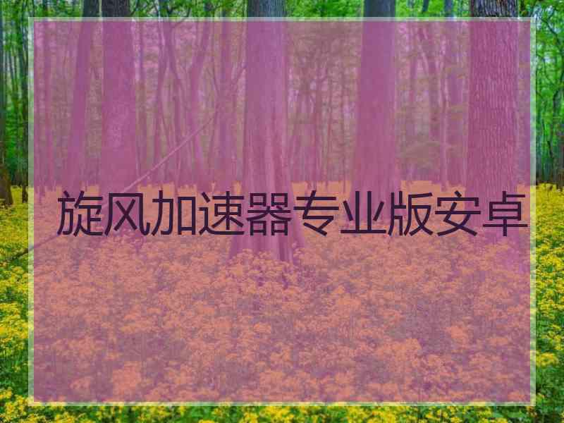 旋风加速器专业版安卓