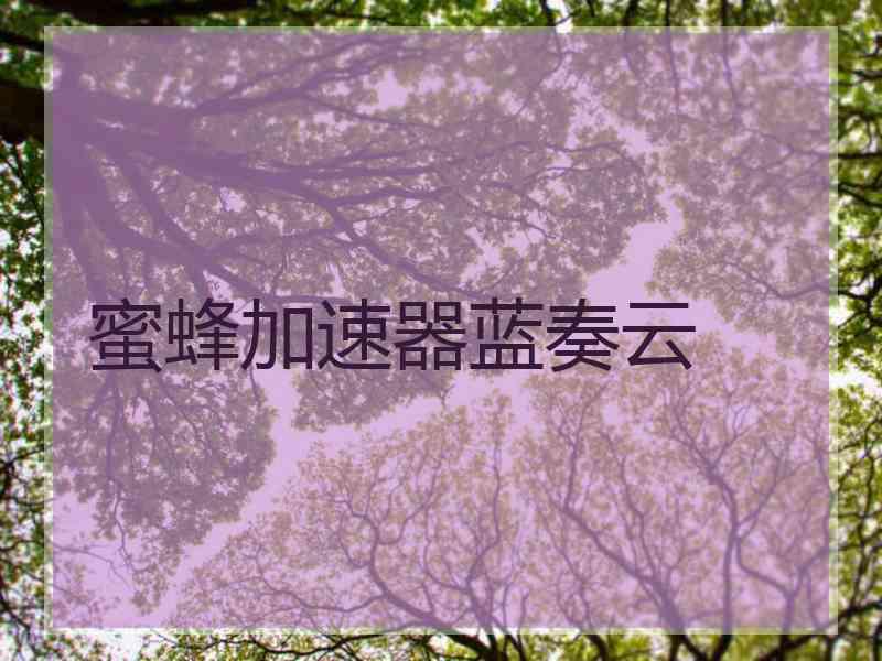 蜜蜂加速器蓝奏云