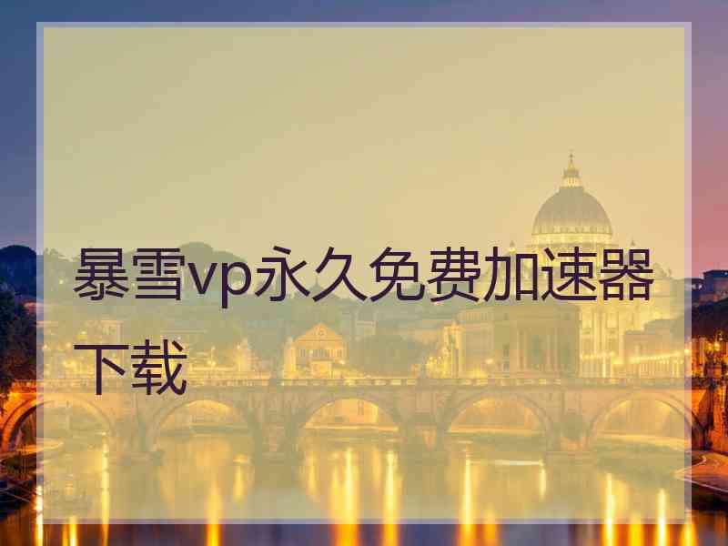 暴雪vp永久免费加速器下载