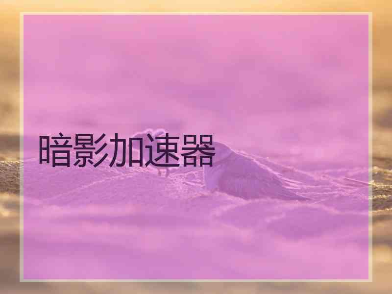 暗影加速器