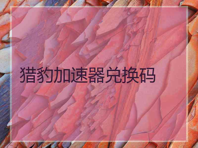 猎豹加速器兑换码
