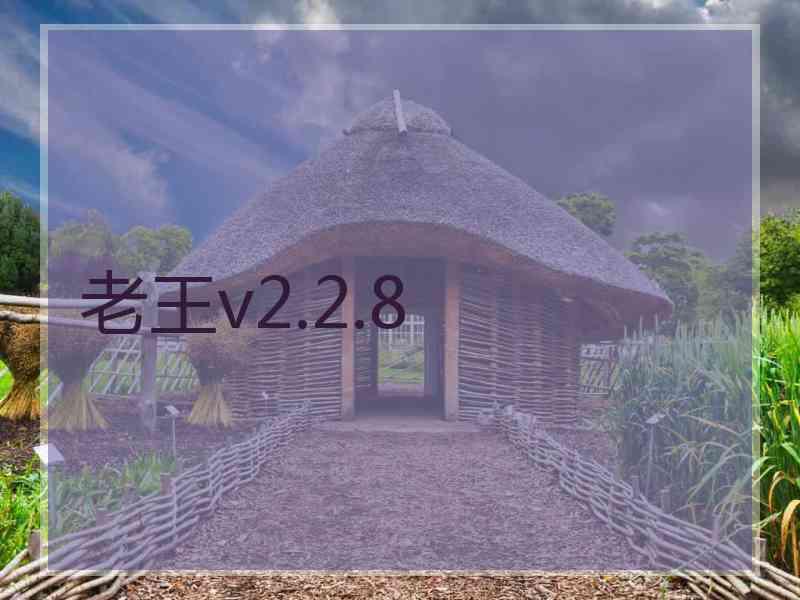 老王v2.2.8
