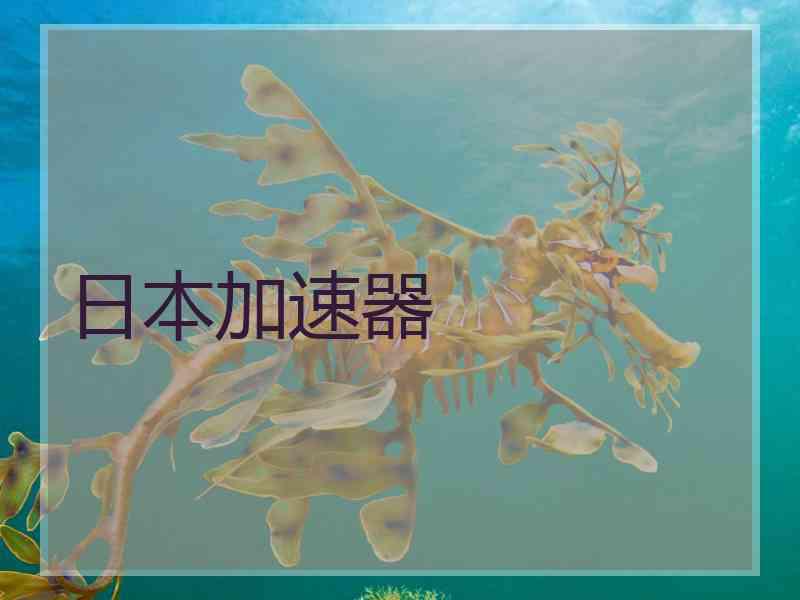 日本加速器