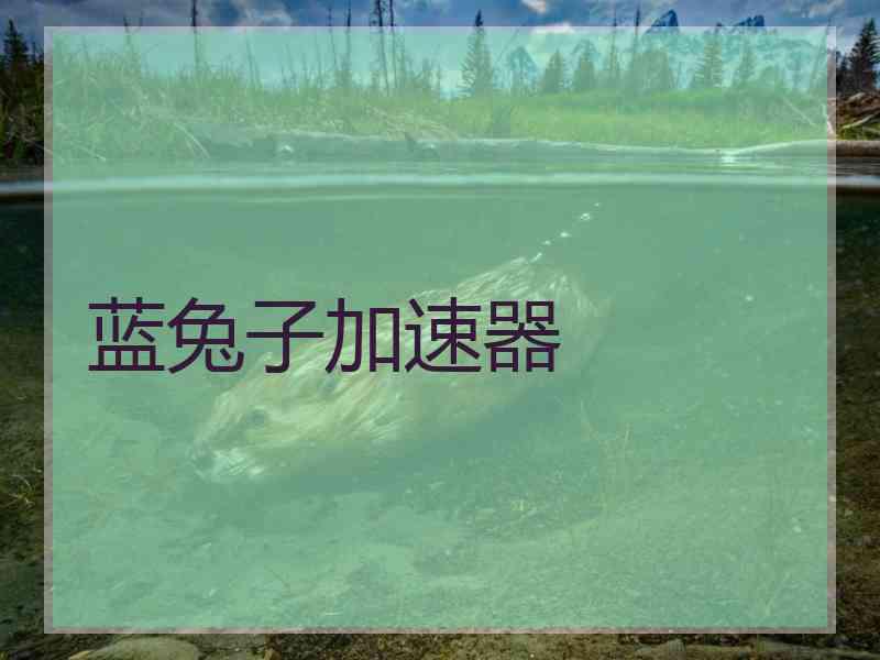 蓝兔子加速器