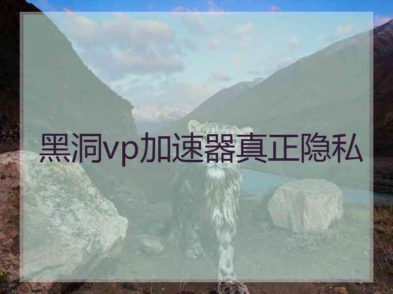 黑洞vp加速器真正隐私