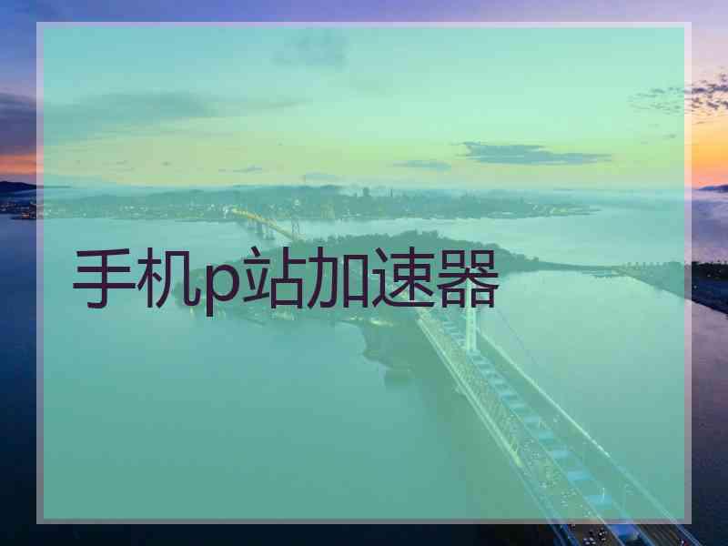 手机p站加速器