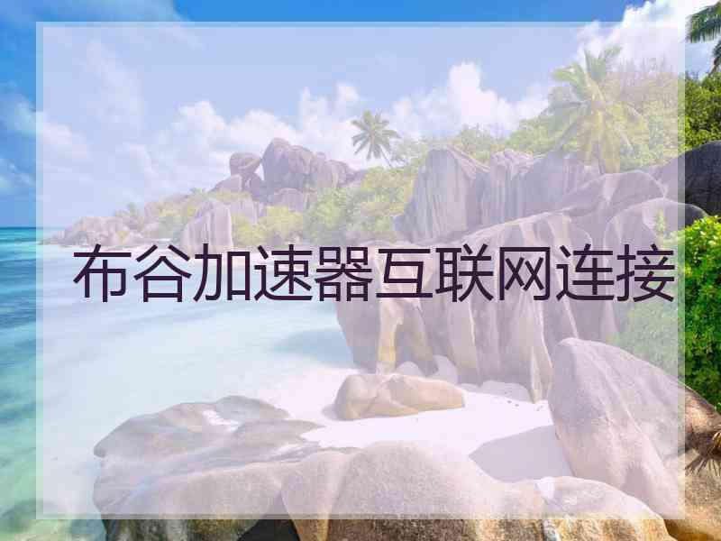 布谷加速器互联网连接