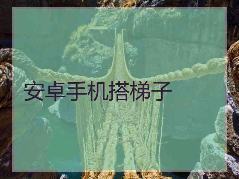 安卓手机搭梯子