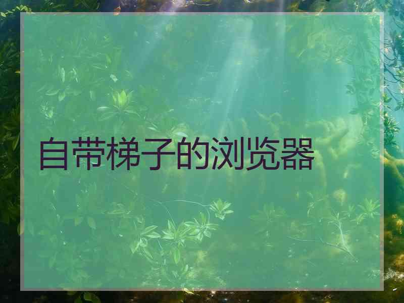 自带梯子的浏览器