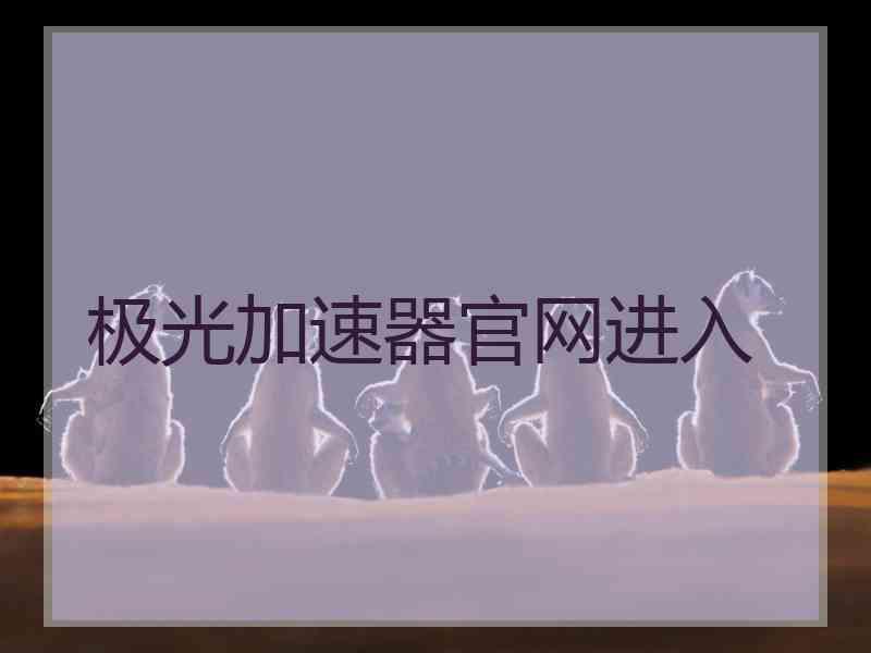 极光加速器官网进入