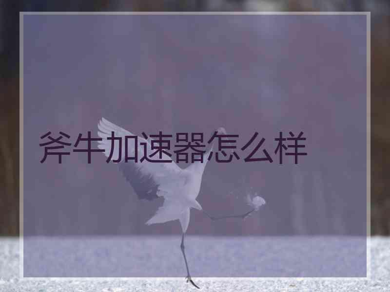 斧牛加速器怎么样
