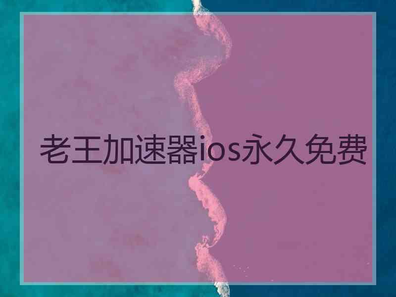 老王加速器ios永久免费