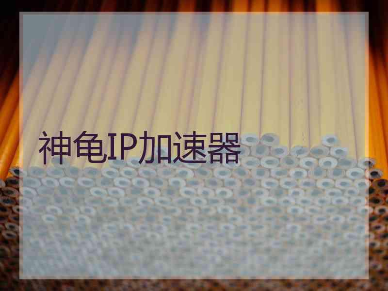 神龟IP加速器