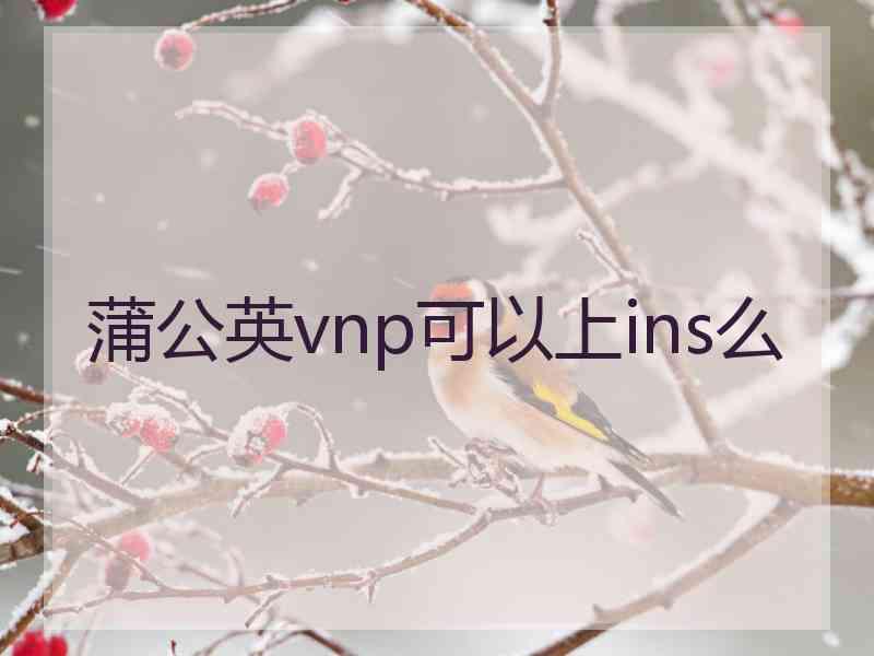 蒲公英vnp可以上ins么