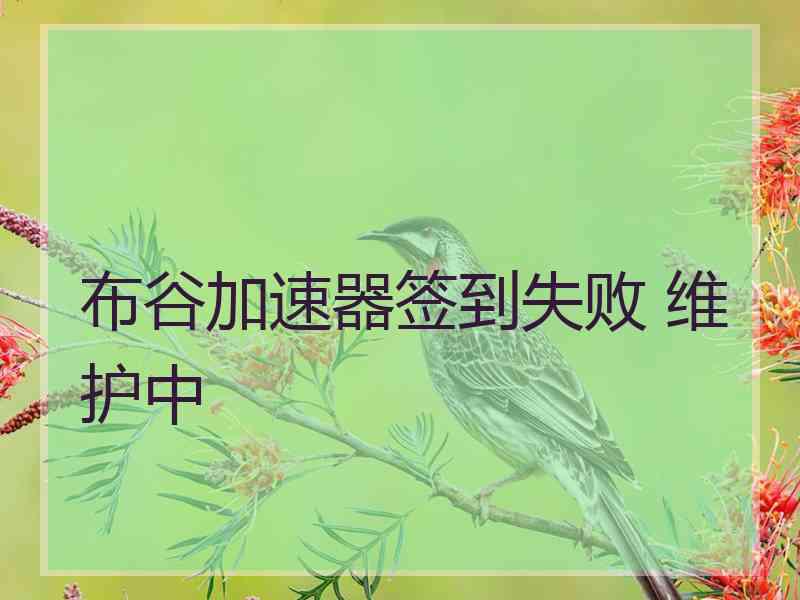 布谷加速器签到失败 维护中