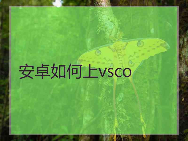 安卓如何上vsco