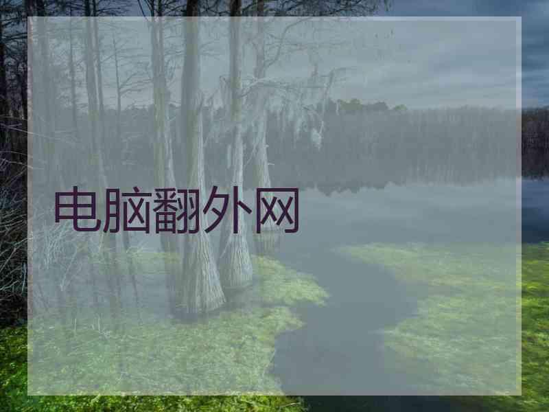 电脑翻外网