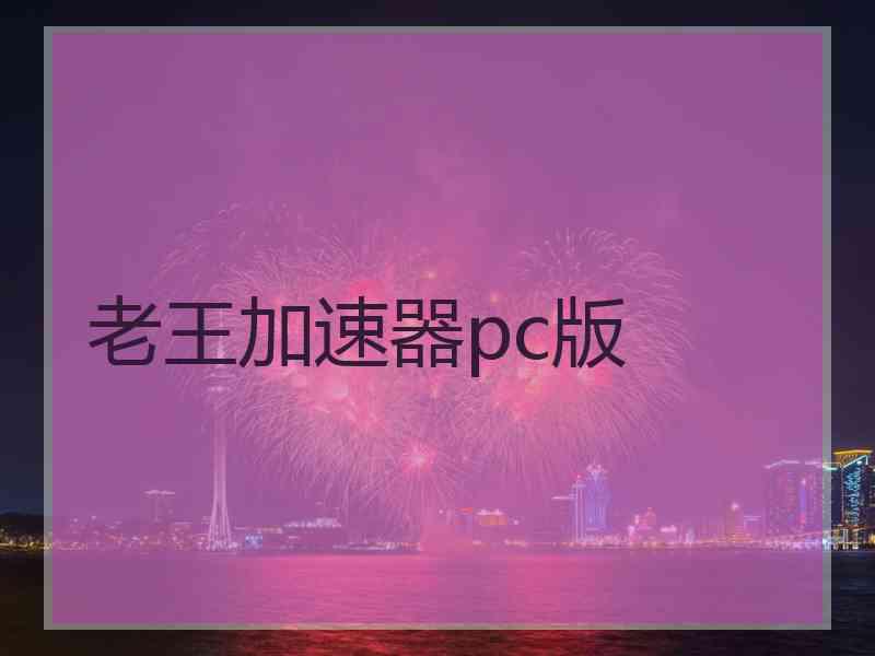 老王加速器pc版
