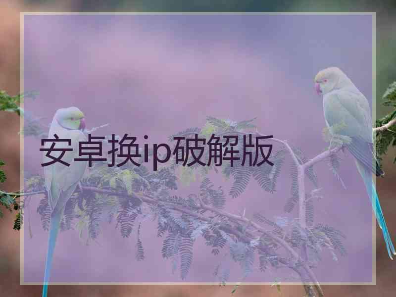安卓换ip破解版