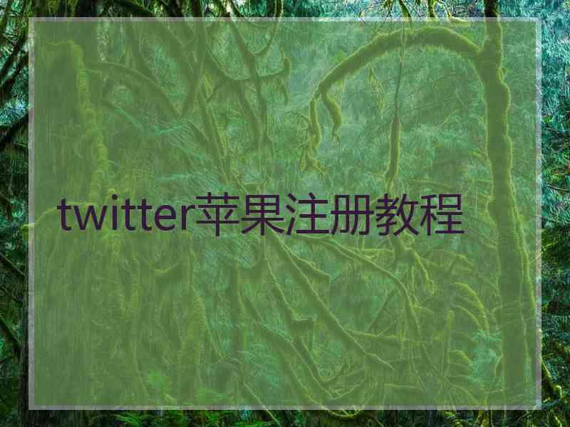 twitter苹果注册教程