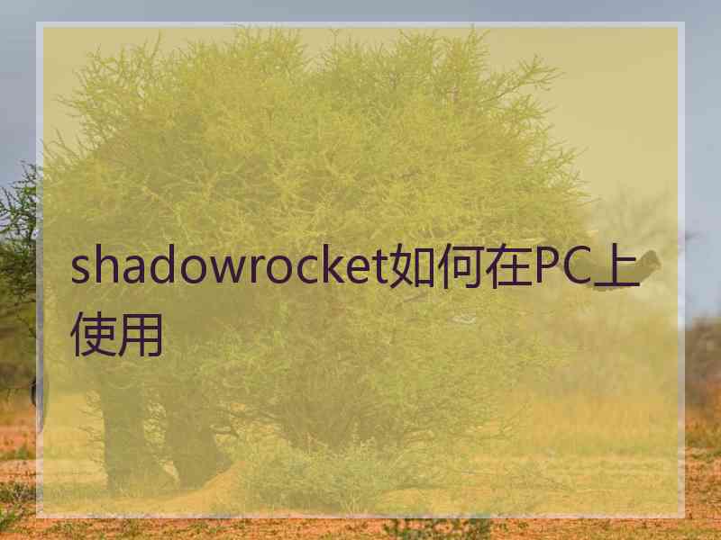shadowrocket如何在PC上使用