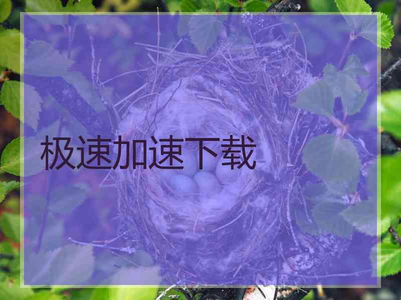 极速加速下载