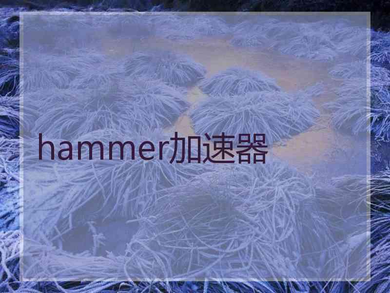 hammer加速器