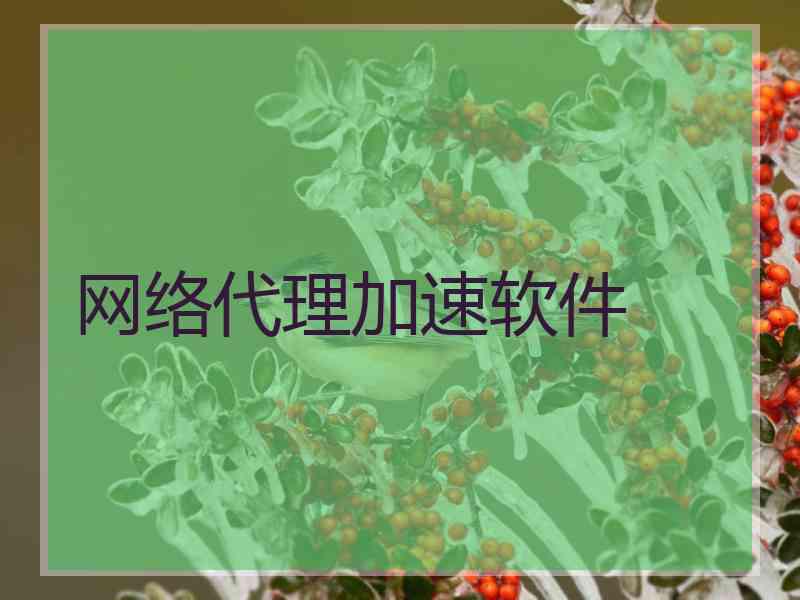 网络代理加速软件
