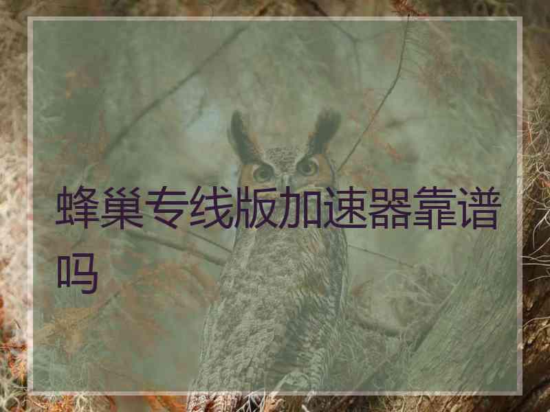 蜂巢专线版加速器靠谱吗