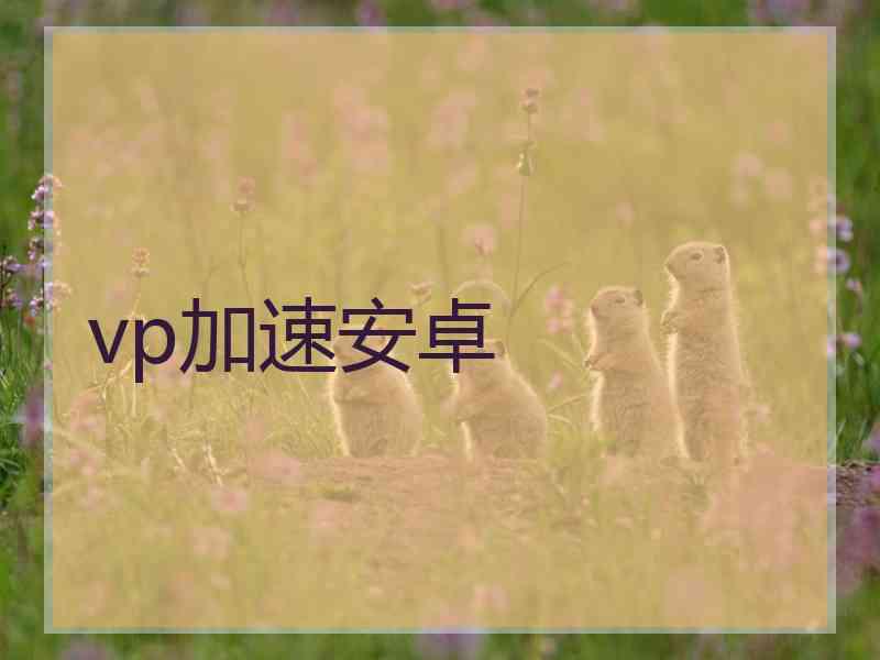 vp加速安卓