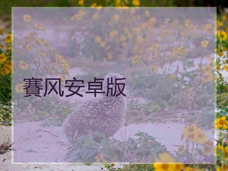 賽风安卓版