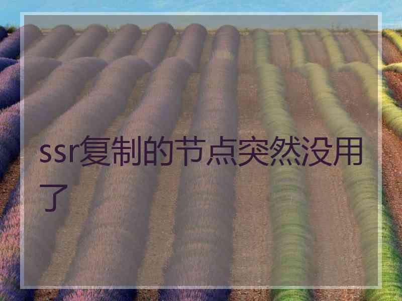 ssr复制的节点突然没用了