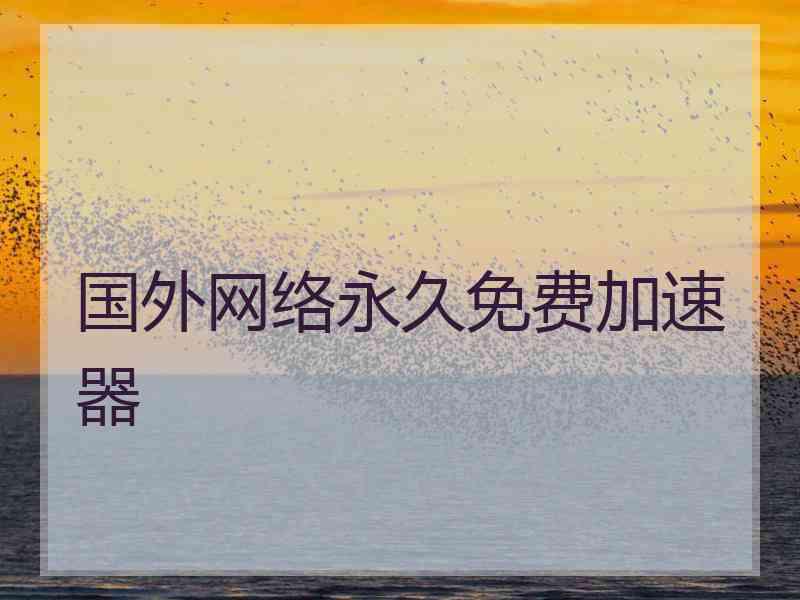 国外网络永久免费加速器