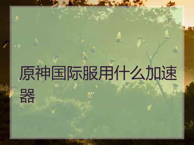 原神国际服用什么加速器