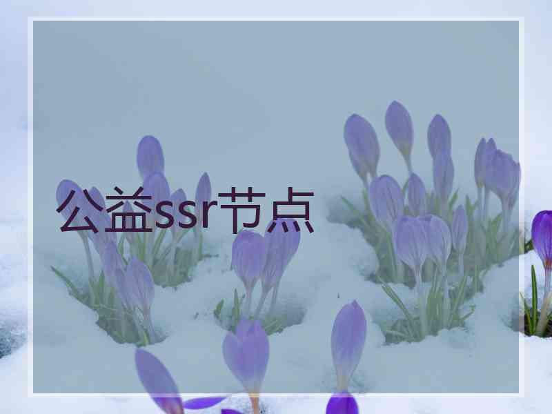 公益ssr节点