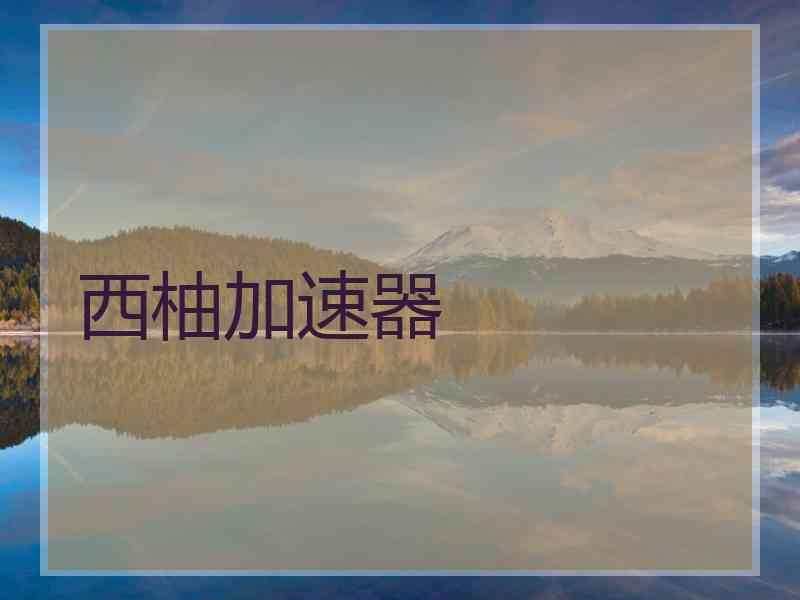 西柚加速器