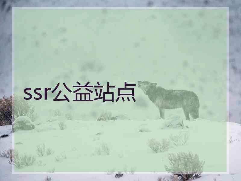 ssr公益站点