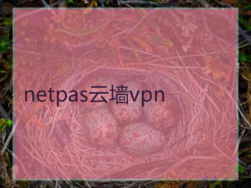 netpas云墙vpn